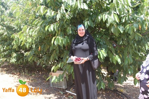 bayareq re7la shamal 0612 (59).JPG